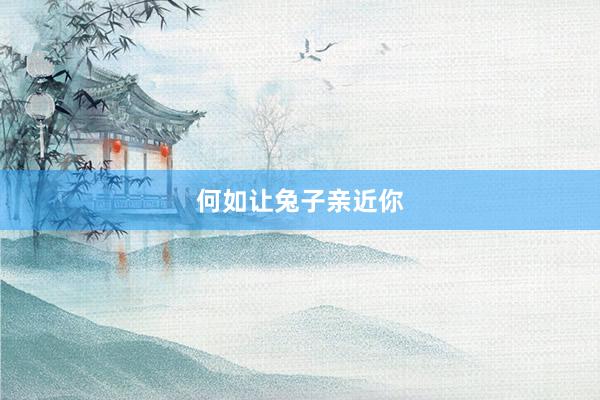 何如让兔子亲近你